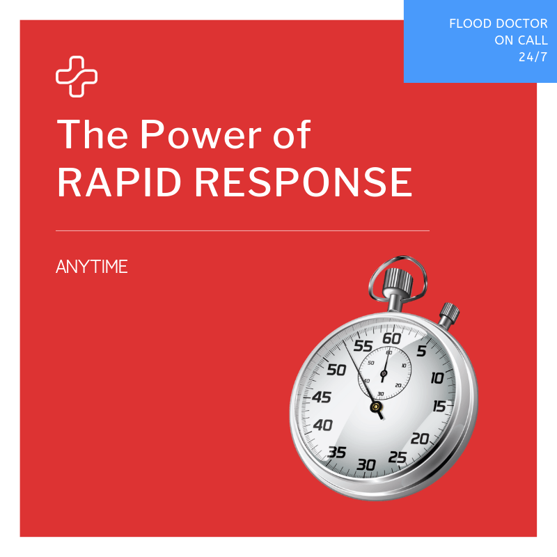 The Power Of Rapid Response